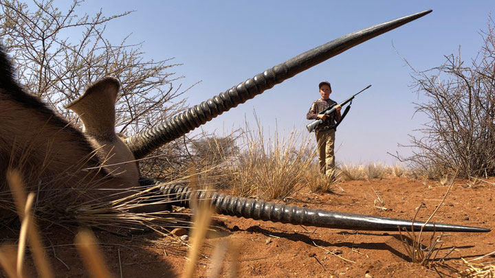 A hunter stands sillouhetted between the horns of a gemsbok