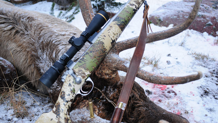Rifle in the antlers of downed Caribou