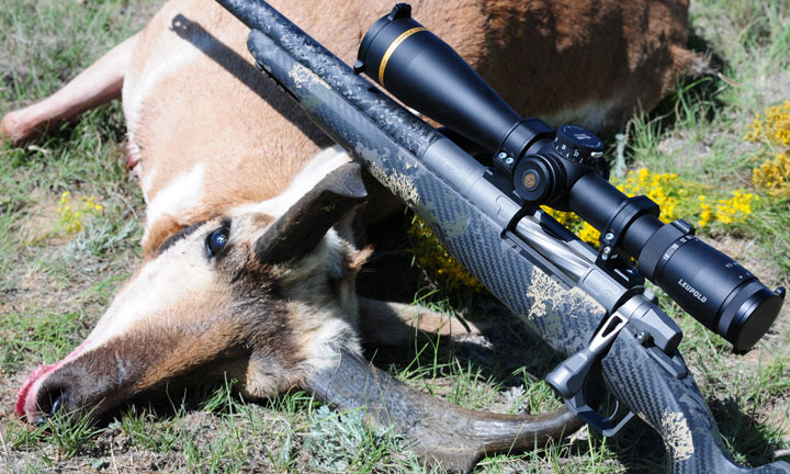 Rifle laying across pronghorns