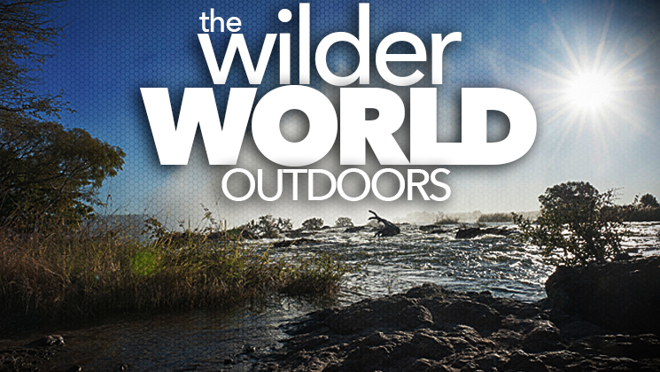 wilder_ah2015_fs.jpg (28)