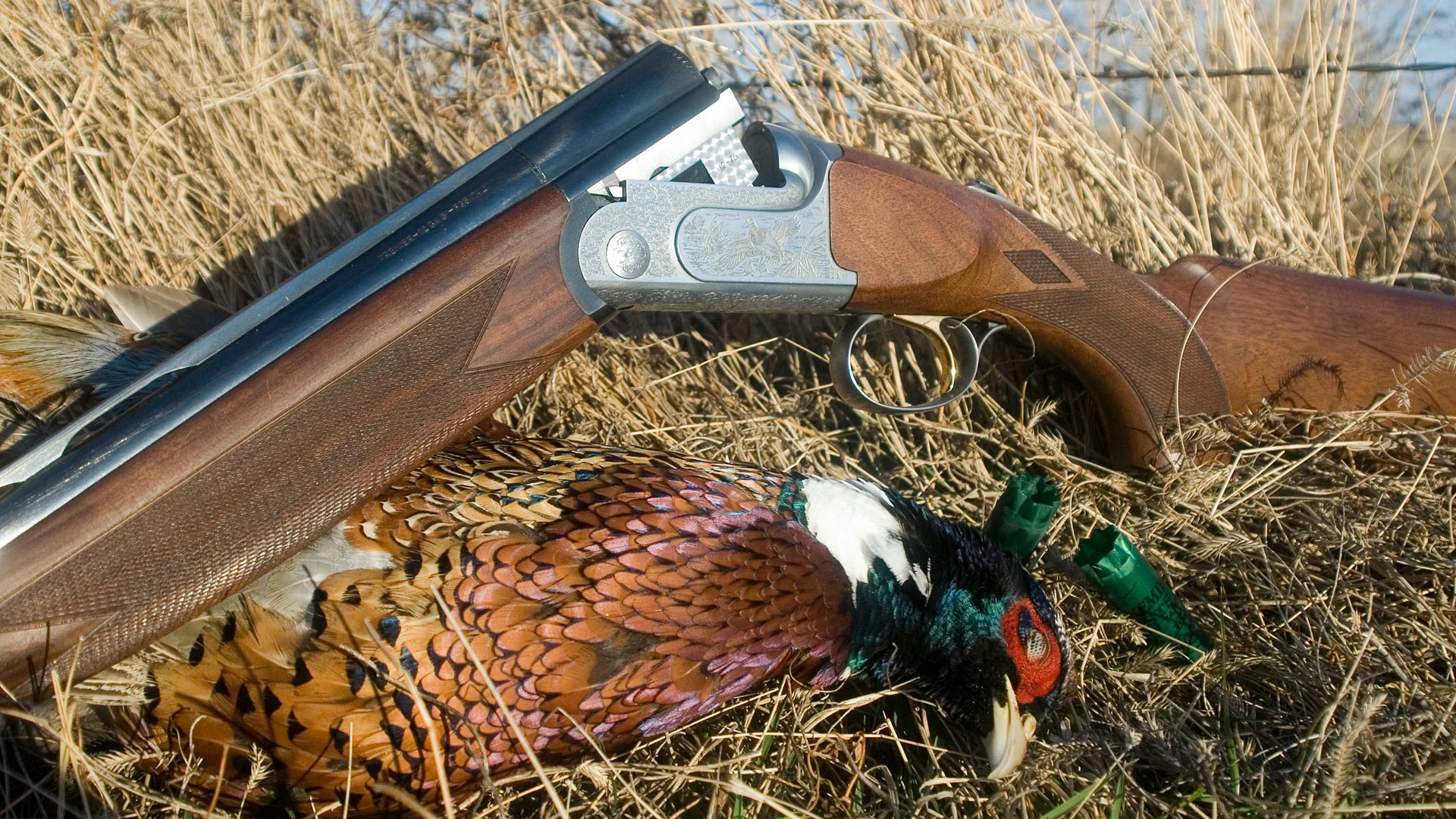 Browning with pheasant