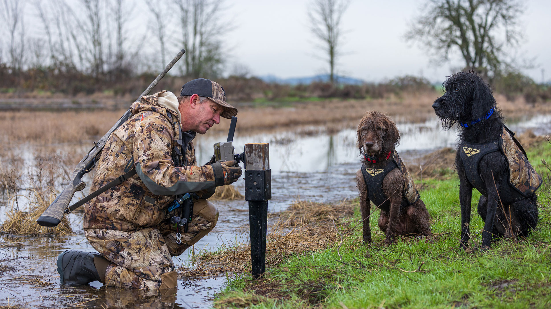 We can’t be everywhere at once, which is where cellular trail cameras come in. Here, the author sets a Moultrie Mobile trail camera to look for ducks moving in ahead of a projected big storm.