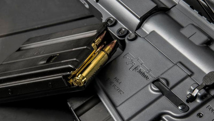 cmmg_22_nosler_f.jpg