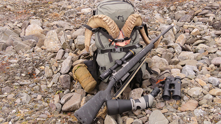guns_gear_dall_sheep.jpg