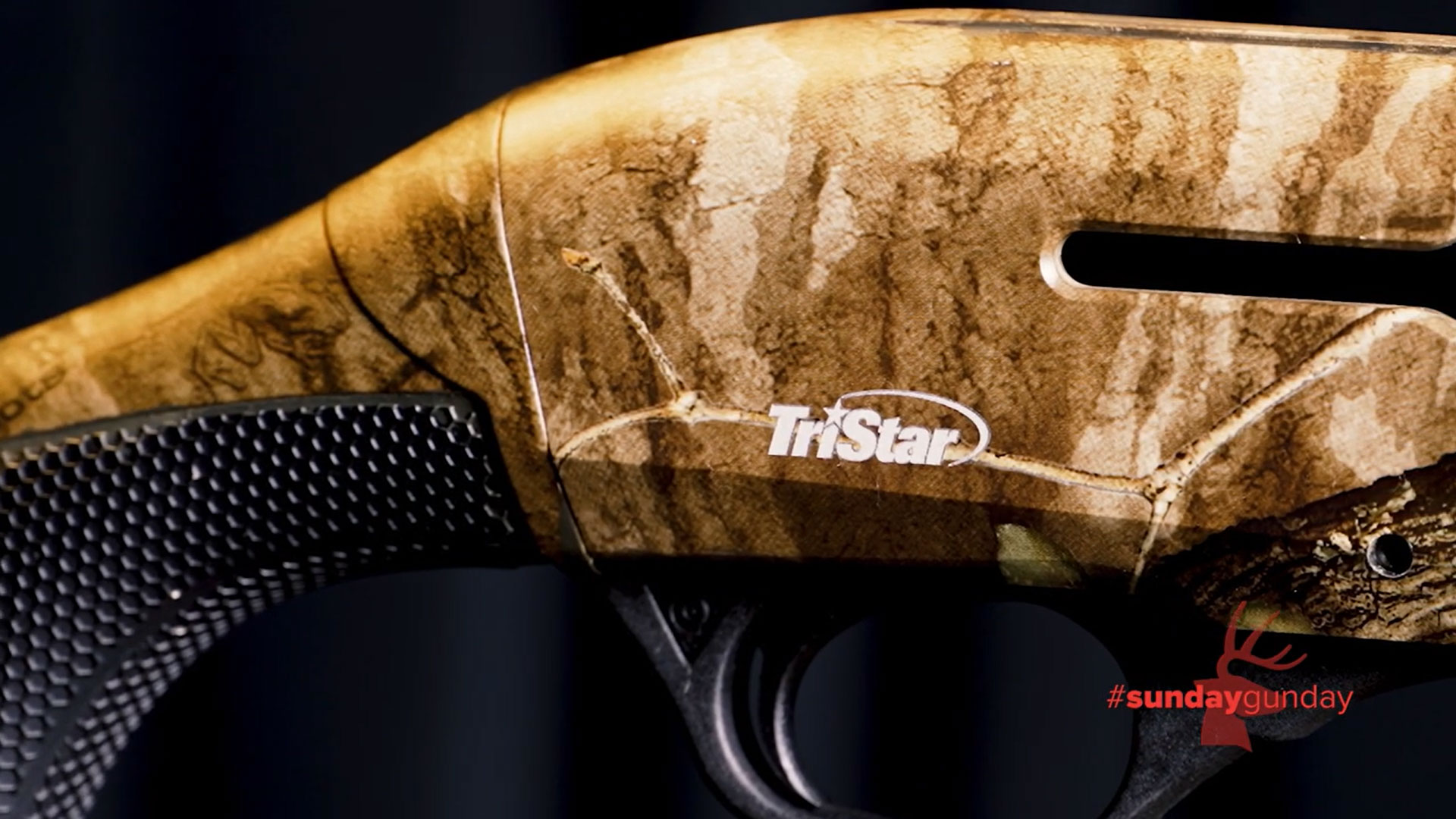 TriStar Raptor II receiver