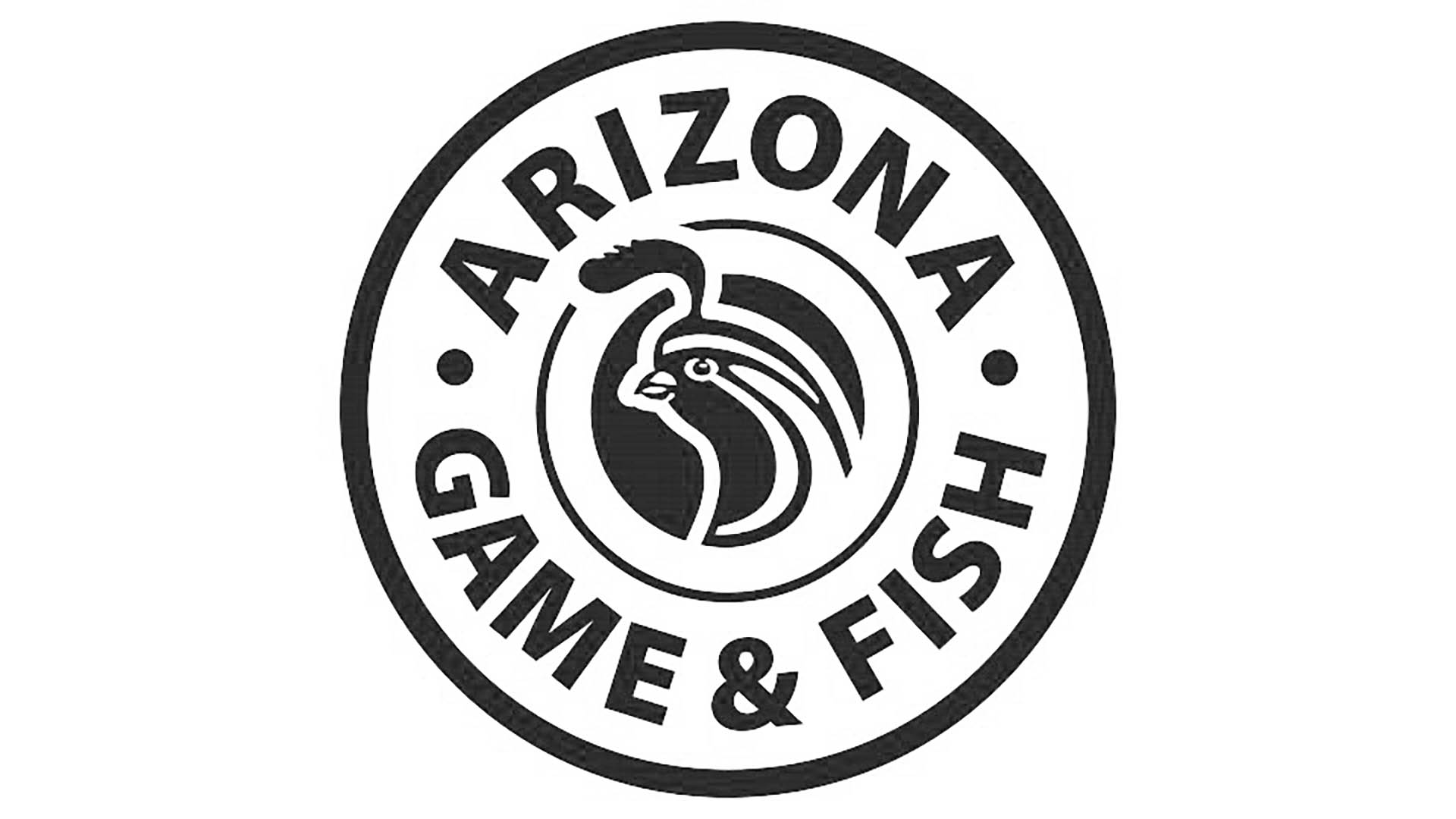 AZFD