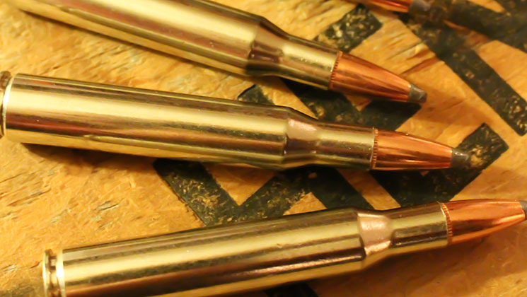 top_whitetail_cartridges_f.jpg