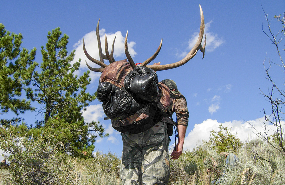 Hunter carrying elk antlers and meat on back.