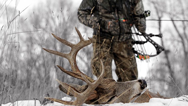 deerrankno1_lead.jpg