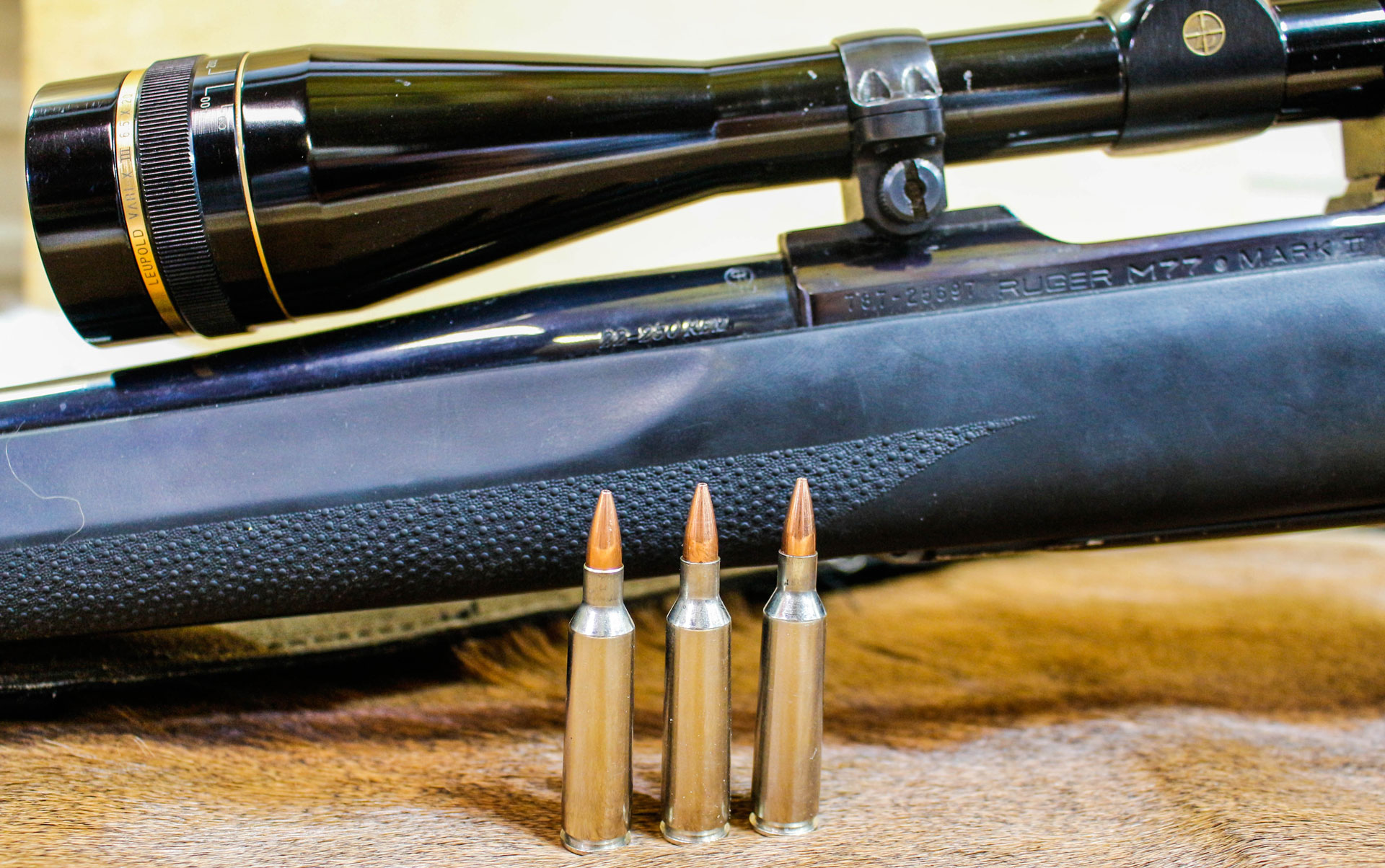 Despite using a relatively slow twist rate in its barrels and bullets on the lighter side when compared to modern cartridges, the 22-250 Remington still has a fervent following among predator and varmint hunters.