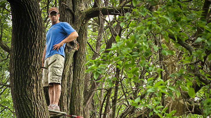 summer-chore-list-whitetail-prep_lead.jpg