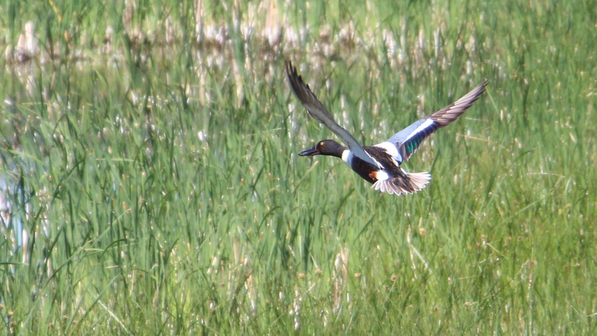 Ledehunting And Fishing Access Expands Again