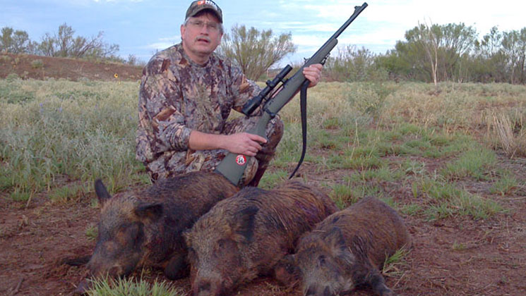 Boar sale hunting gear