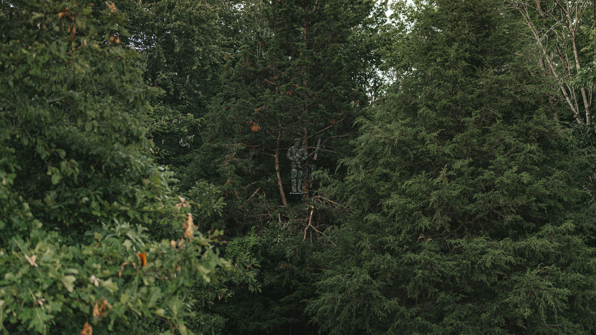 Hunter standing in trees