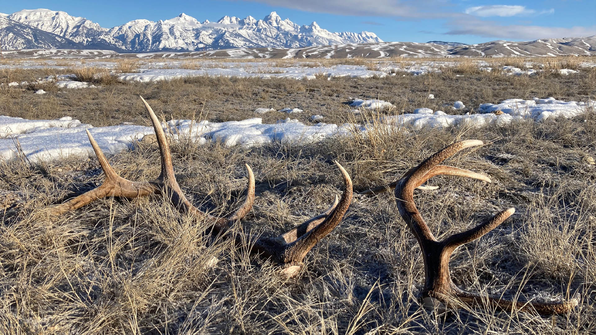 Ledefirst Case Of Cwd A