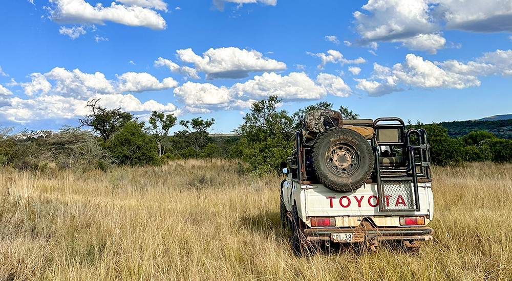 Toyota HiLux safari vehicle in South Africa plains.