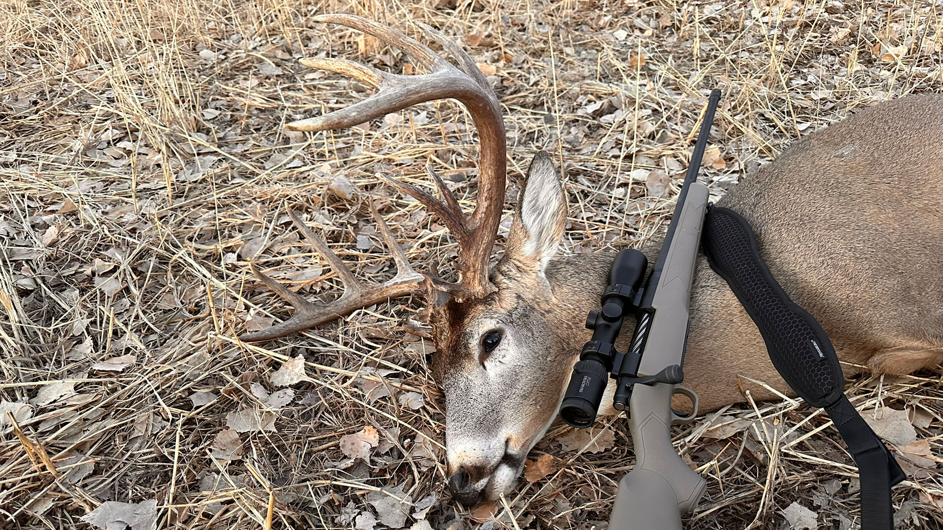 Z5i on rifle with deer