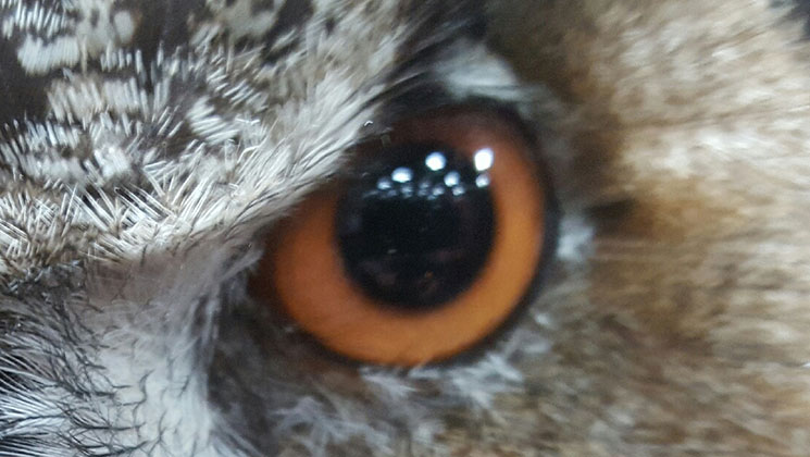 keep_eye_on_graphic_f.jpg