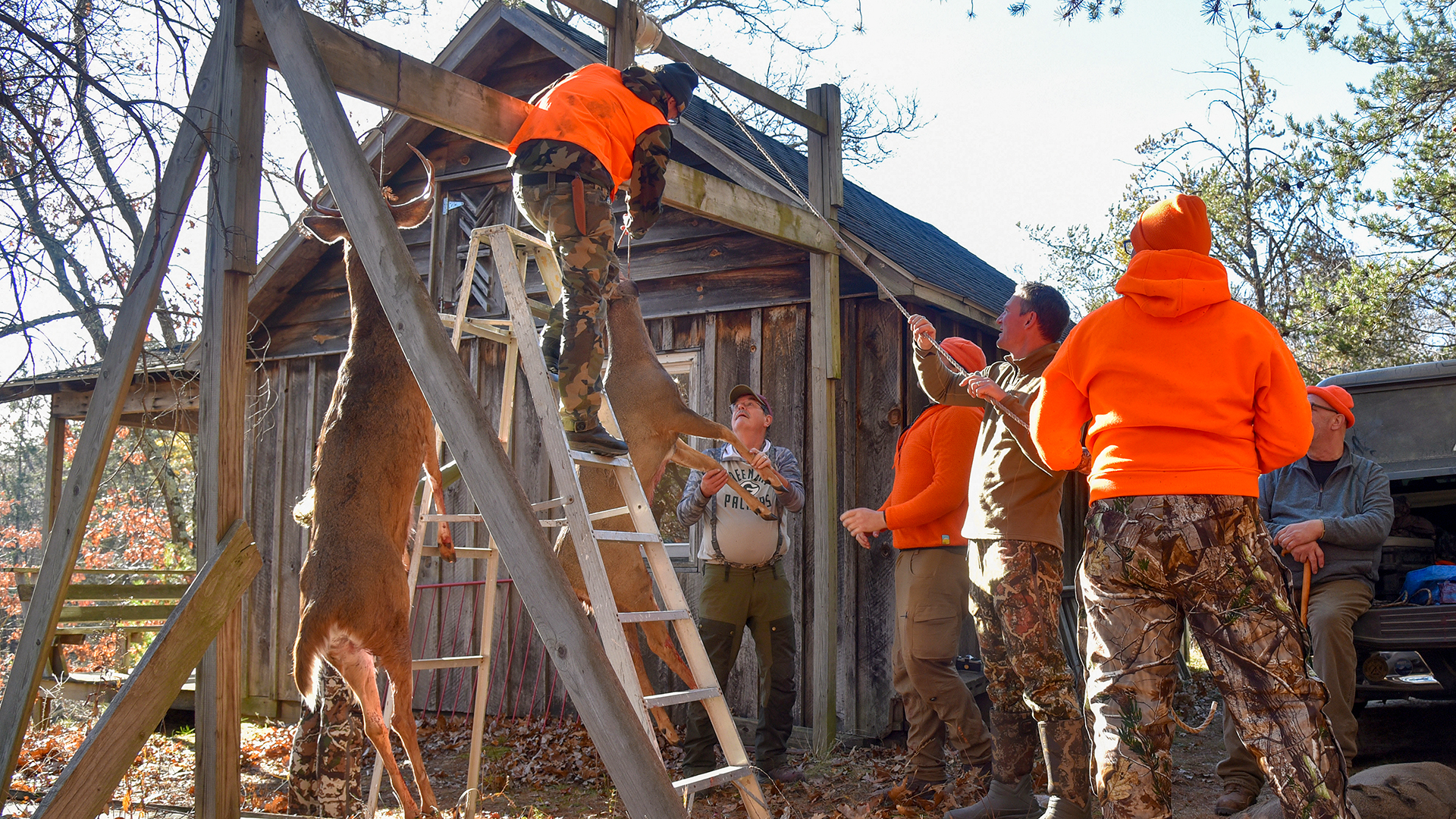 Latvian Legacy Energizes Wisconsin Deer Camp Lead