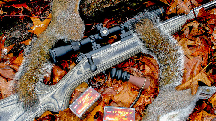 Know-How: Walk Away to Small-Game Hunting | An Official Journal Of The NRA