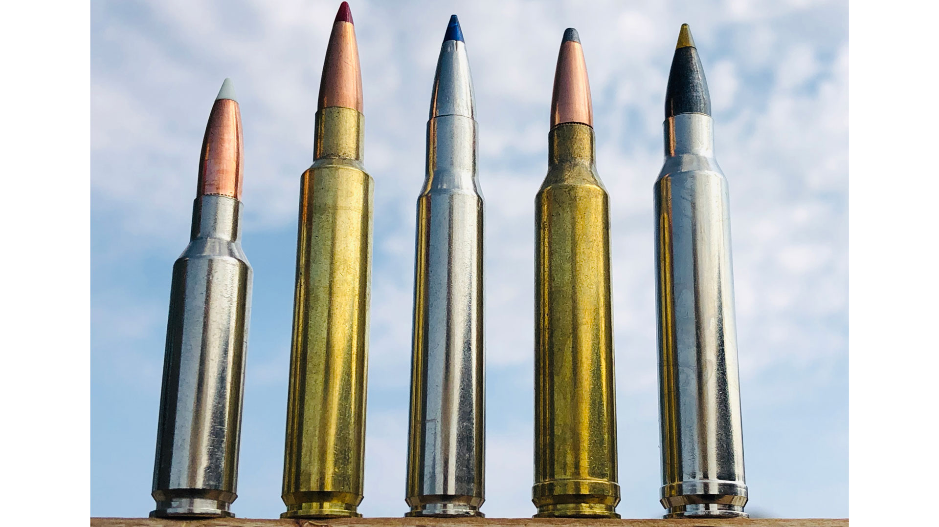 Hunting Ammo: What to Look for in a Big-Game Bullet