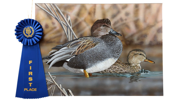 Maryland Artist Wins 2021 California Duck Stamp Contest An