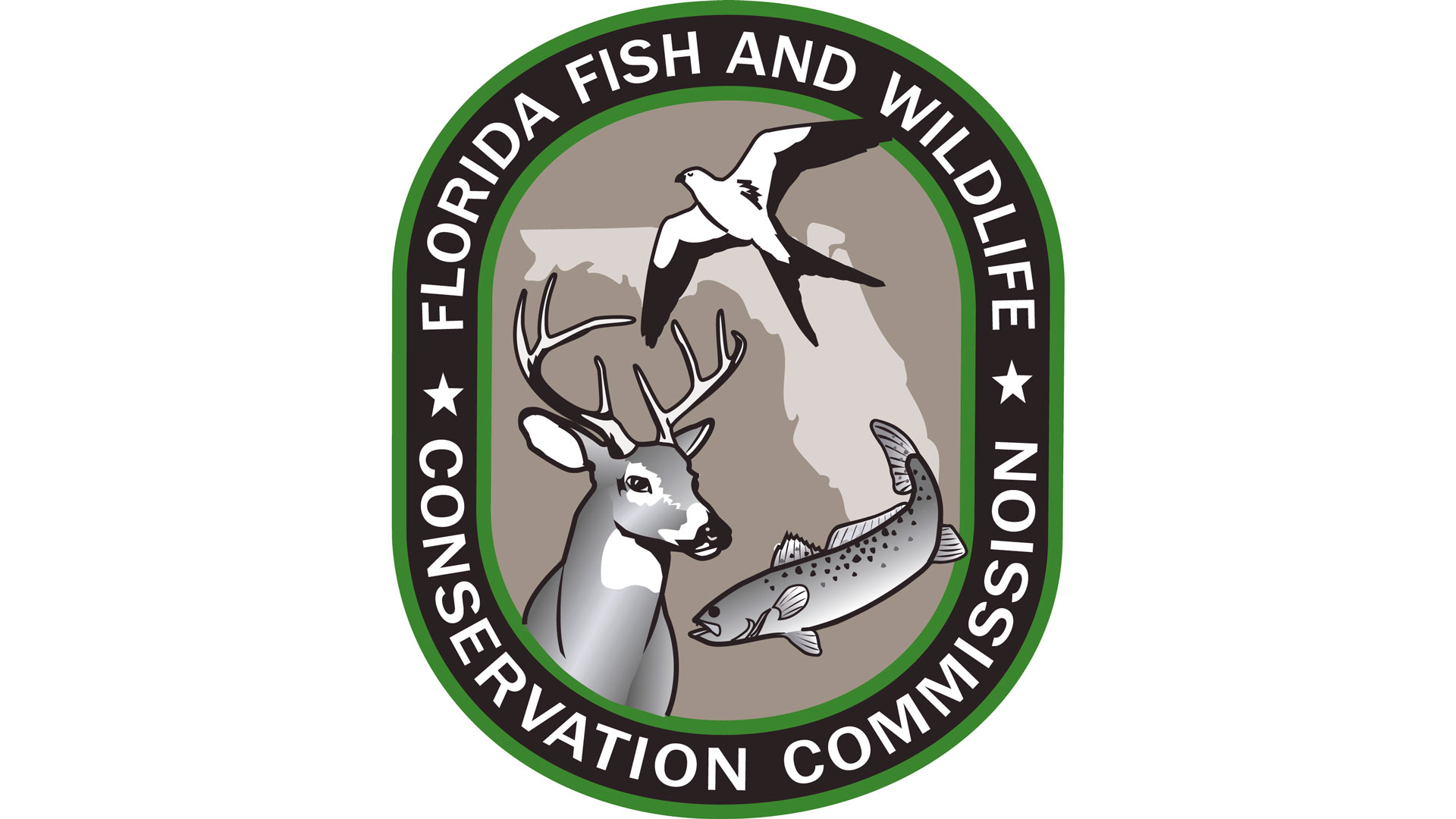 Mainflorida FWC Logo