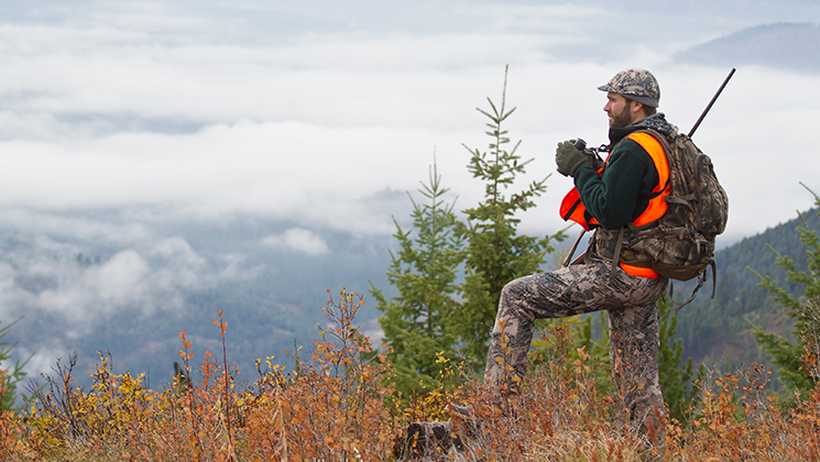 Find Success When Elk Scouting Fails | An Official Journal Of The NRA