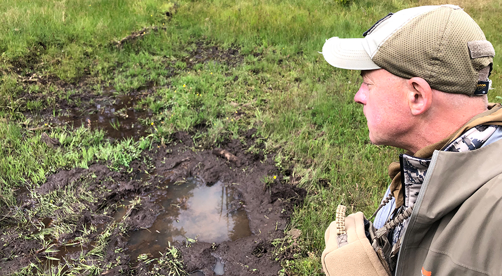 Hunter evaluating elk wallow.