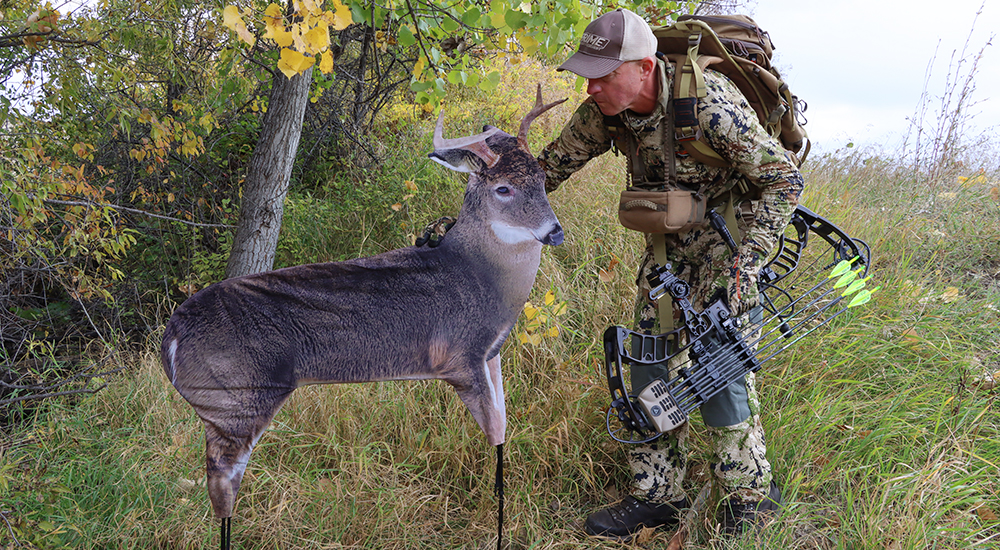 Archery hunter setting whitetail deer decoy.