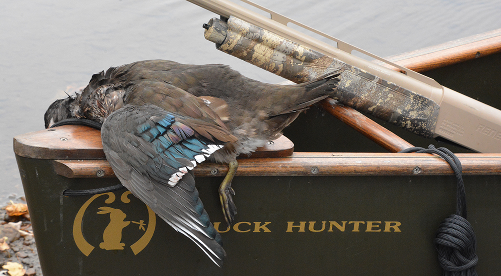 Duck on bow of boat with shotgun.