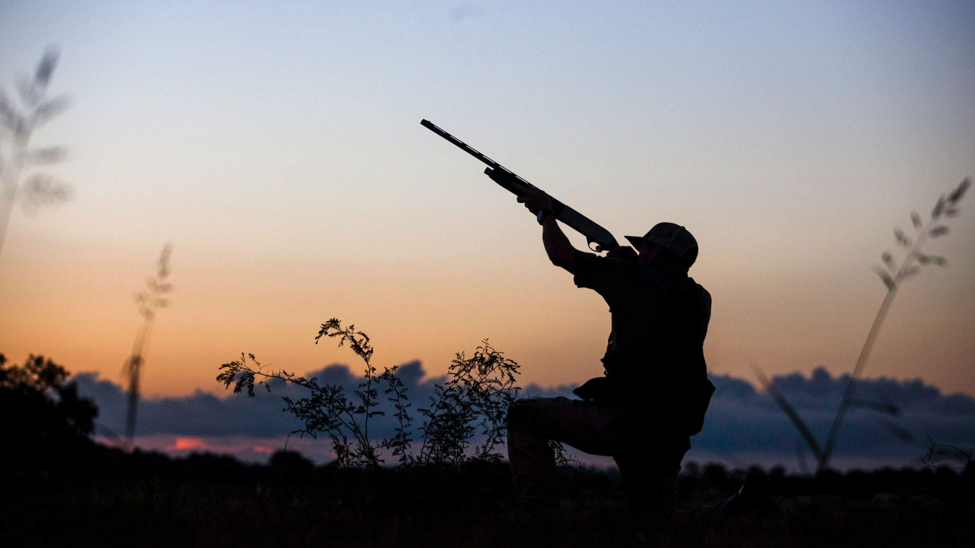 Hunter Shooting At Sunset