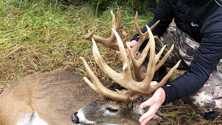 Biggest Whitetail Deer Ever Seen