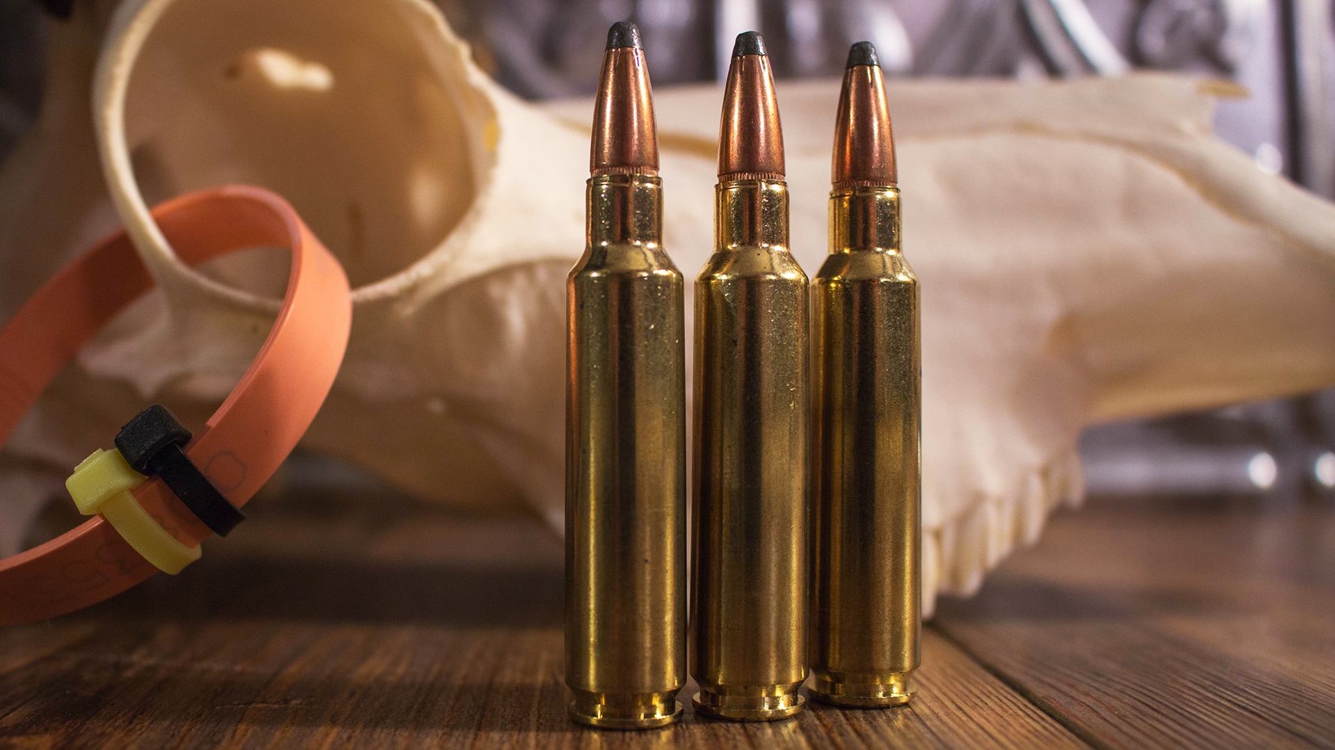 BTB 284 Winchester Lead