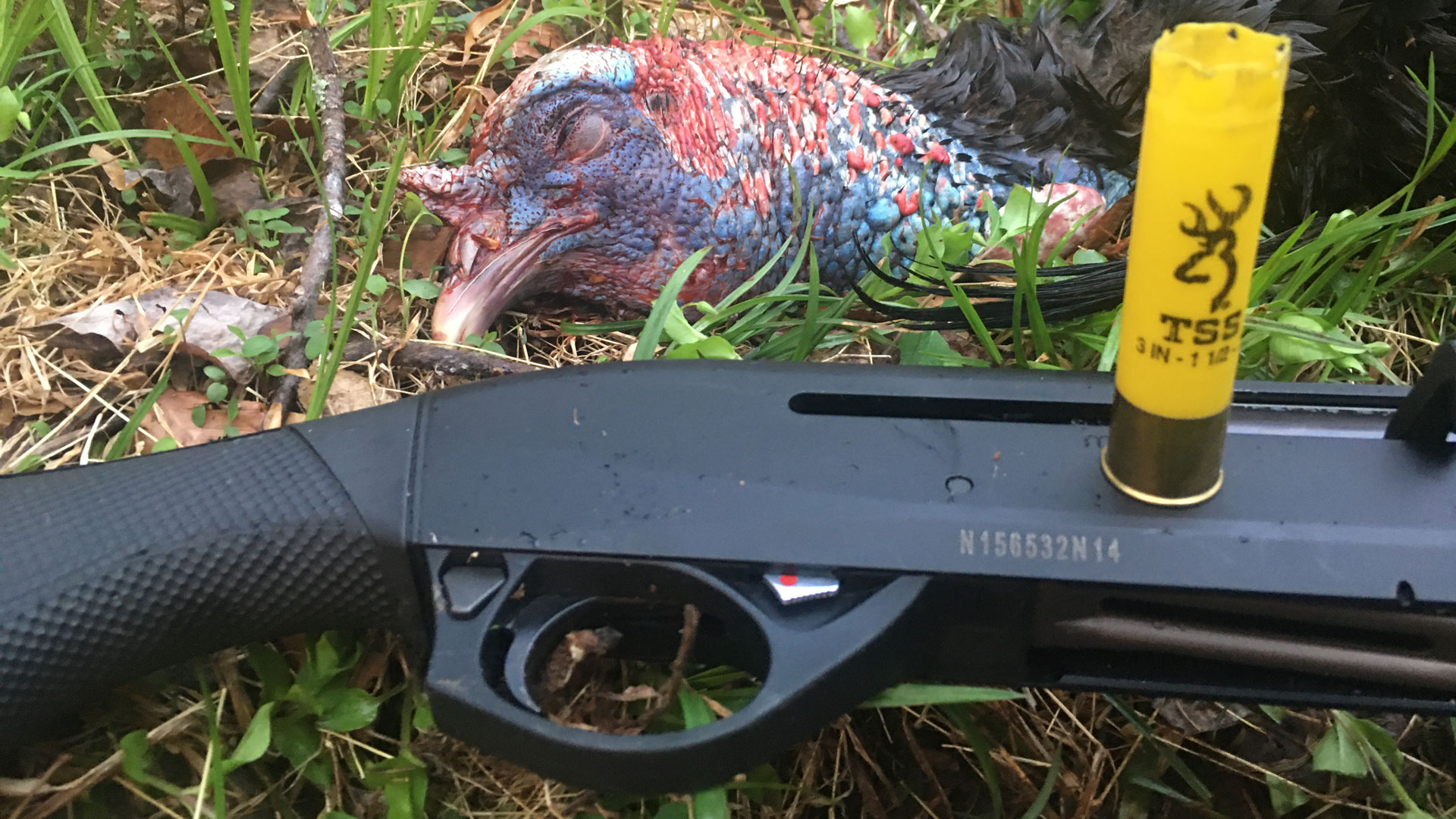 Turkey with TSS shell