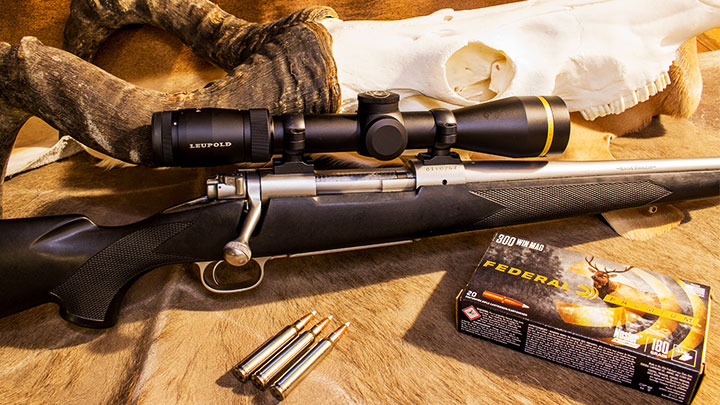 The Best Scopes for Mini 14 in 2023 - Scopes Field