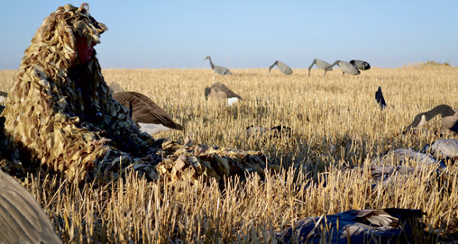 2012926142854-canada_beckons_f.jpg