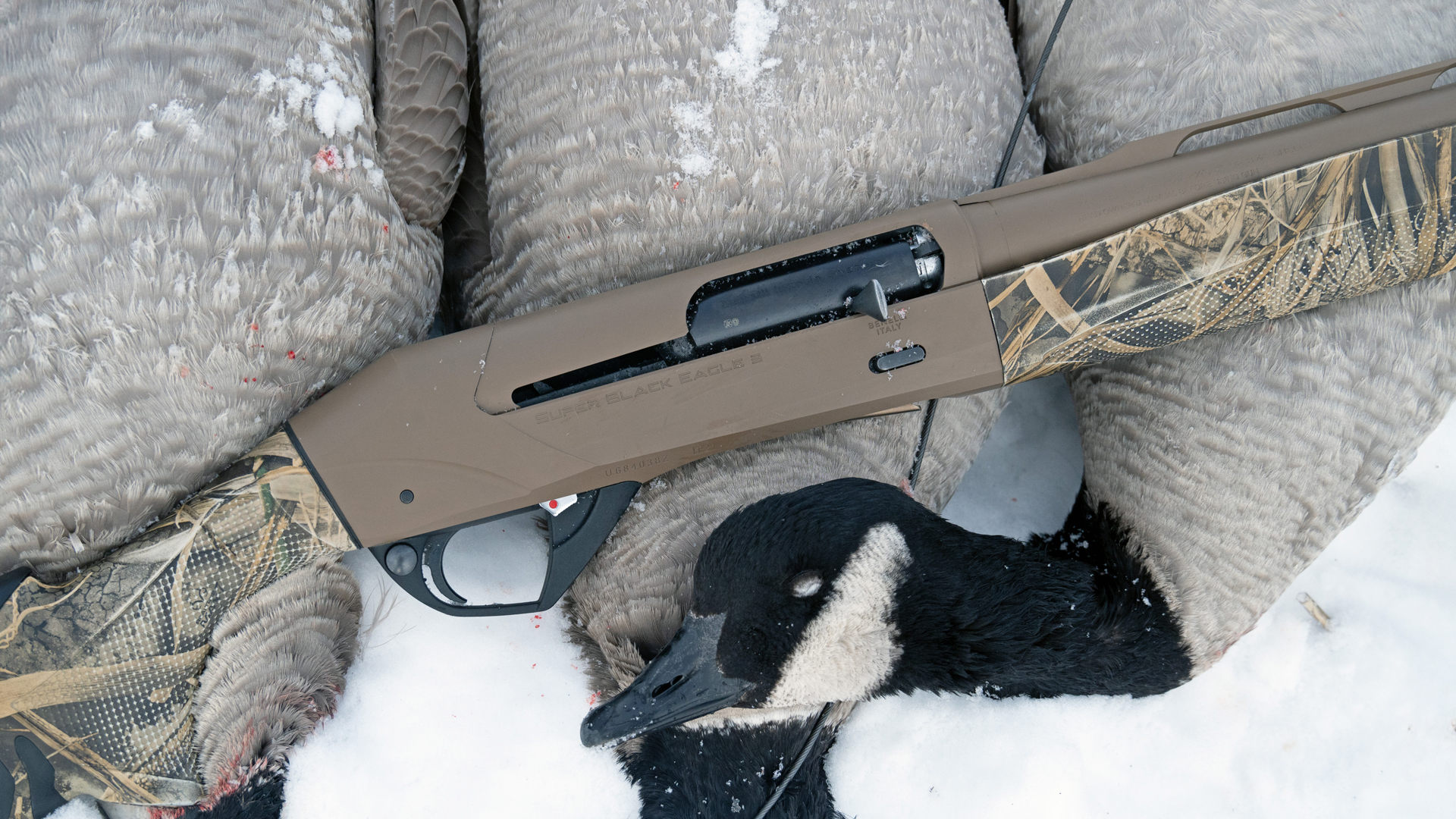 Benelli Super Black Eagle 3 SBE3 semi-automatic shotgun shown with brown metal camo stock with harvest canada goose