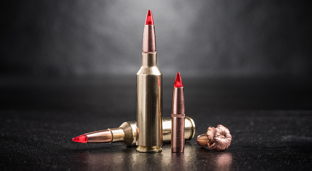 Winchester Copper Impact ammunition.