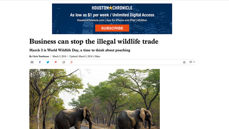 houston_chron_elephants.jpg