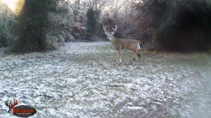 mainkicker-camera-image.jpg