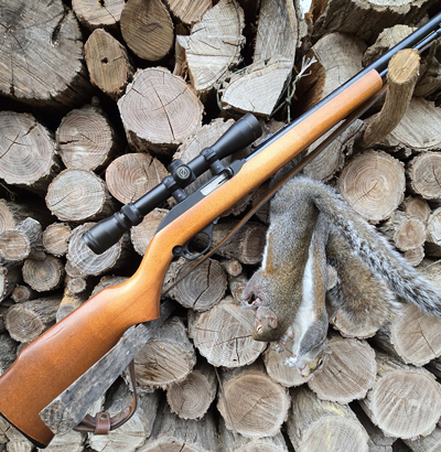 Rifle and brace of squirrels