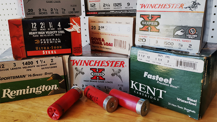 7 Best Ways to Store Shotgun Ammo
