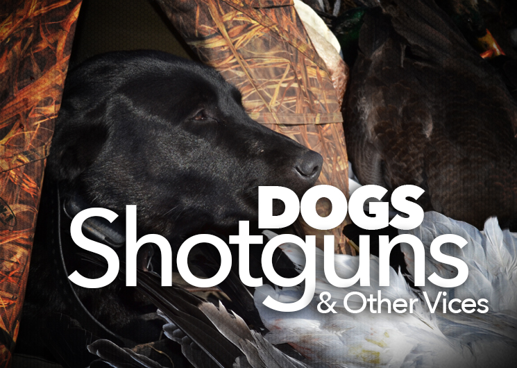 dogs_ah2015_fs.jpg (13)