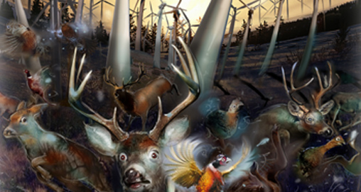 2010714113017-windmill_f.jpg