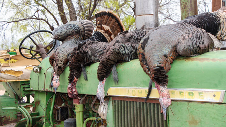 turkeygrandslam_lead.jpg