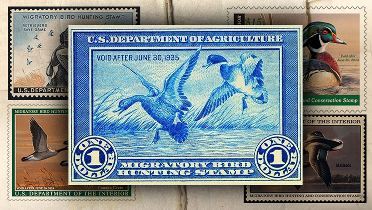 2019 20 Federal Duck Stamp Theme Celebrates Waterfowl Hunting