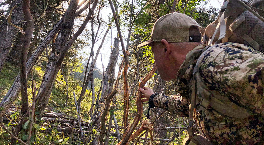 Hunter climbing steep timber.