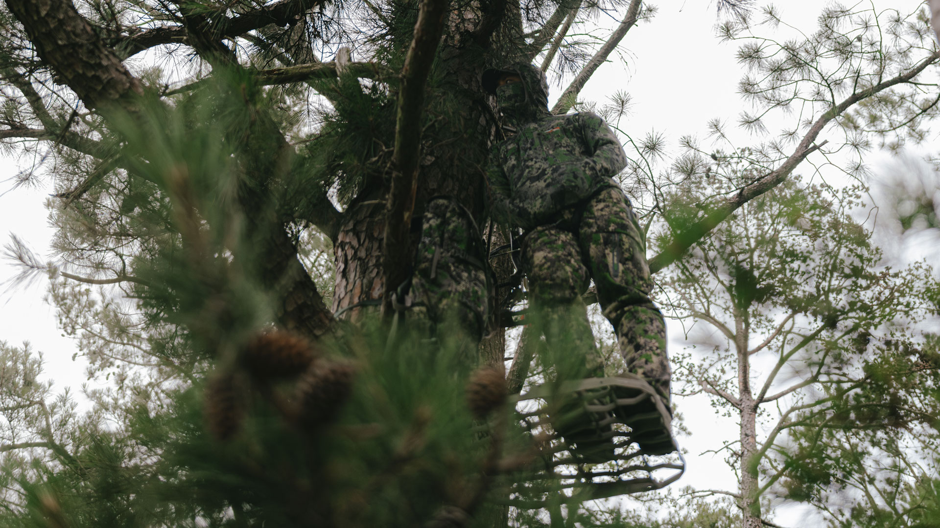 Hunter standing next to tree