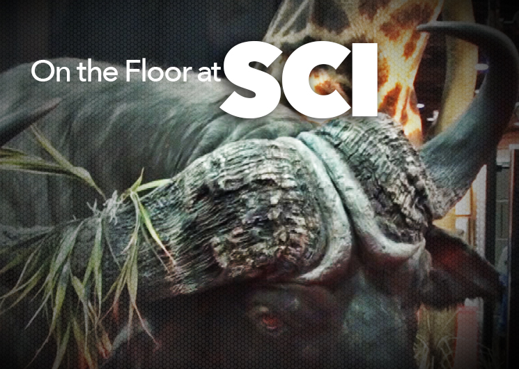sci_ah2015_fs.jpg (10)